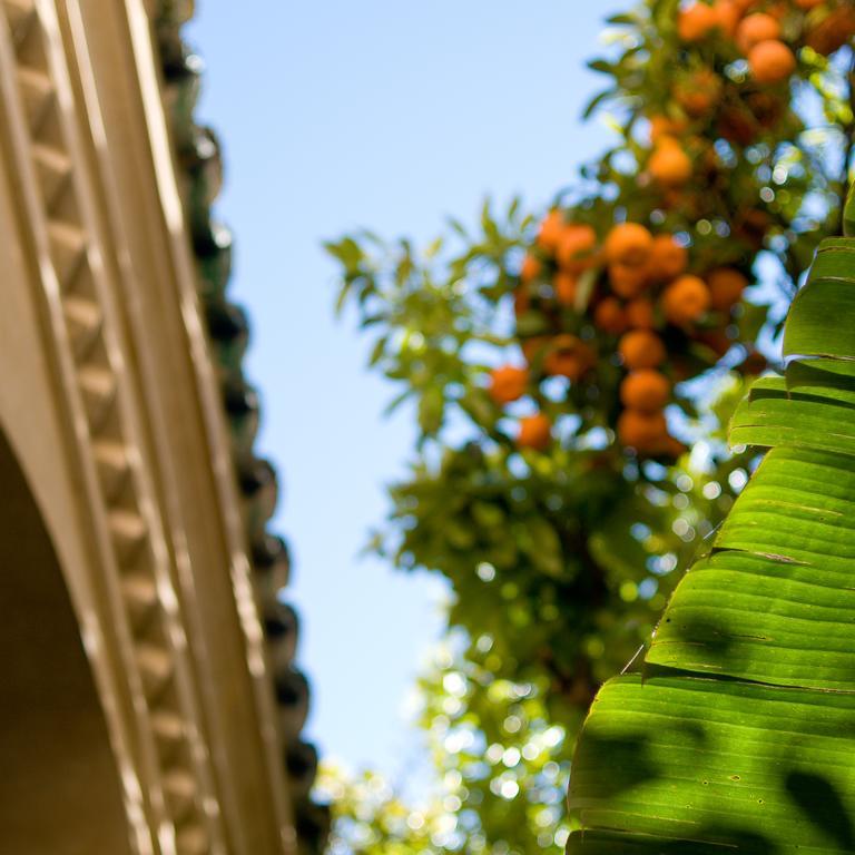 Riad La Maison D'à Côté Meknès Exterior foto